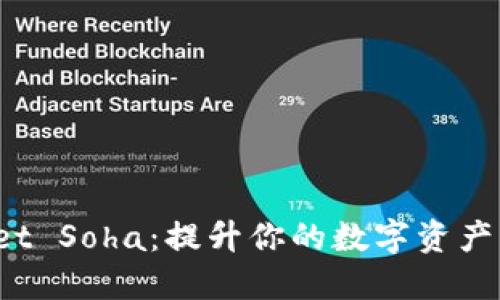 TP Wallet Soha：提升你的数字资产管理体验