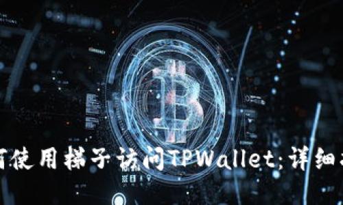 如何使用梯子访问TPWallet：详细指南