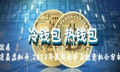 优质康鼎虚拟币：2023年最