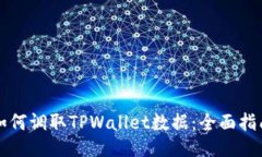 如何调取TPWallet数据：全面