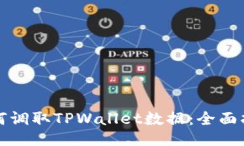 如何调取TPWallet数据：全面指南