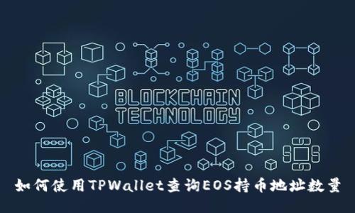 如何使用TPWallet查询EOS持币地址数量