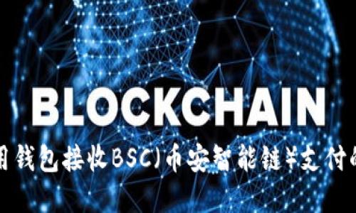 在TP上使用钱包接收BSC（币安智能链）支付的完整指南