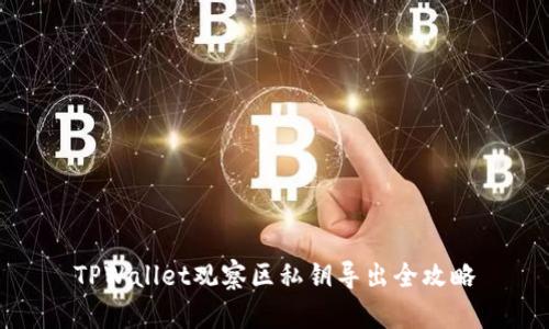 TPWallet观察区私钥导出全攻略