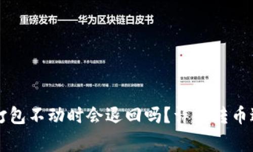 TPWallet转币打包不动时会退回吗？详解转币过程与注意事项