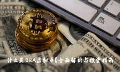 什么是BRA虚拟币？全面解
