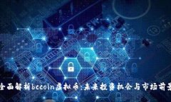 全面解析bccoin虚拟币：未