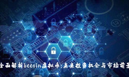 全面解析bccoin虚拟币：未来投资机会与市场前景