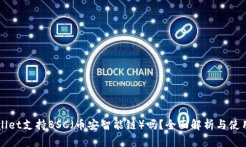 TPWallet支持BSC（币安智能链）吗？全面解析与使用指南