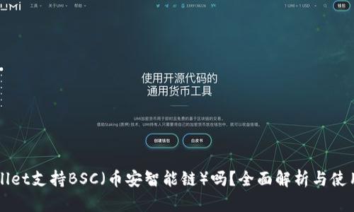 TPWallet支持BSC（币安智能链）吗？全面解析与使用指南