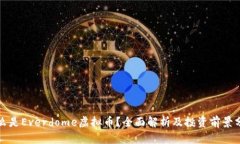 什么是Everdome虚拟币？全面