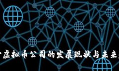 长沙虚拟币公司的发展现
