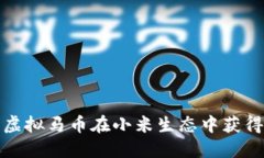 如何利用虚拟马币在小米