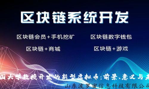 韩国大学教授开发的新型虚拟币：前景、意义与未来