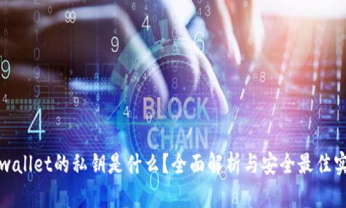 tpwallet的私钥是什么？全面解析与安全最佳实践