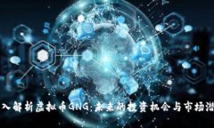 深入解析虚拟币GNG：未来