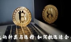   虚拟币钱包的种类与选择
