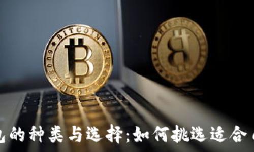   
虚拟币钱包的种类与选择：如何挑选适合自己的钱包