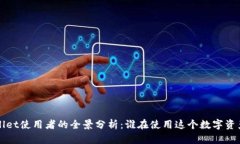  TPWallet使用者的全景分析