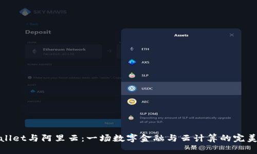 TPWallet与阿里云：一场数字金融与云计算的完美结合