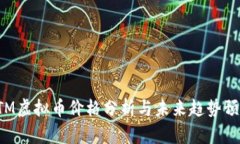 ETM虚拟币价格分析与未来
