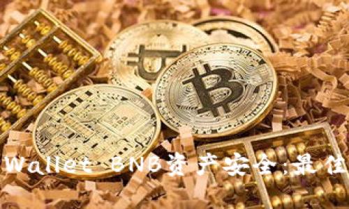 如何保护您的TPWallet BNB资产安全：最佳实践与应对措施