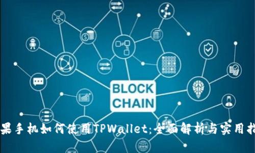 苹果手机如何使用TPWallet：全面解析与实用指南