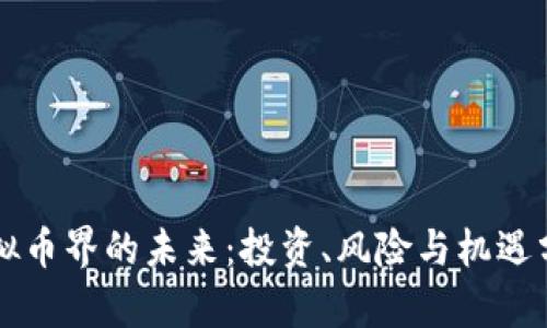 虚拟币界的未来：投资、风险与机遇分析