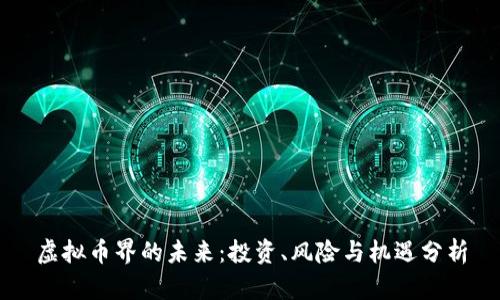 虚拟币界的未来：投资、风险与机遇分析
