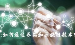  养猫虚拟币：如何通过养