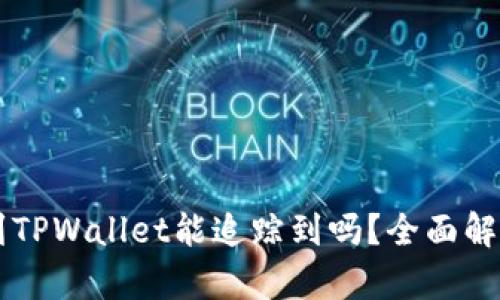 交易所提币到TPWallet能追踪到吗？全面解析与实用指南