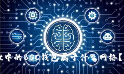 TPWallet中的BSC钱包属于什么网络？深入解读