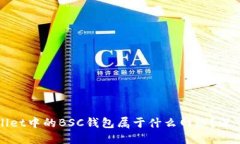 TPWallet中的BSC钱包属于什么