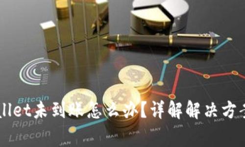 提HT到TPWallet未到账怎么办？详解解决方案与注意事项