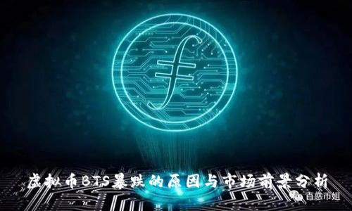 虚拟币BTS暴跌的原因与市场前景分析