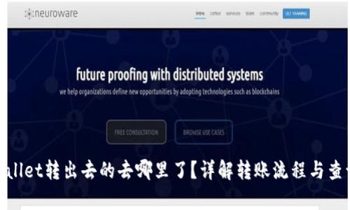 : tpwallet转出去的去哪里了？详解转账流程与查询技巧