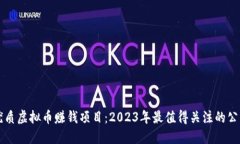 优质虚拟币赚钱项目：2023年最值得关注的公司