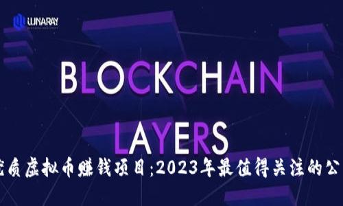 优质虚拟币赚钱项目：2023年最值得关注的公司